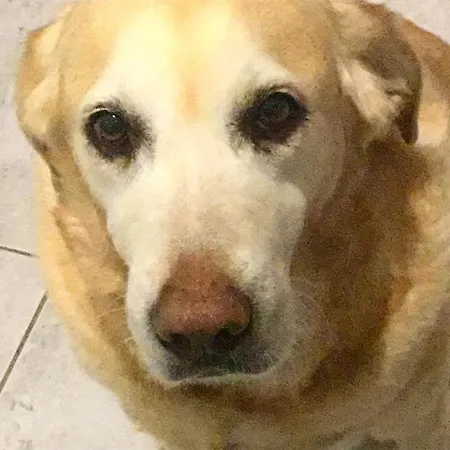 L'echappee Belle Saint-Jean-de-Fos