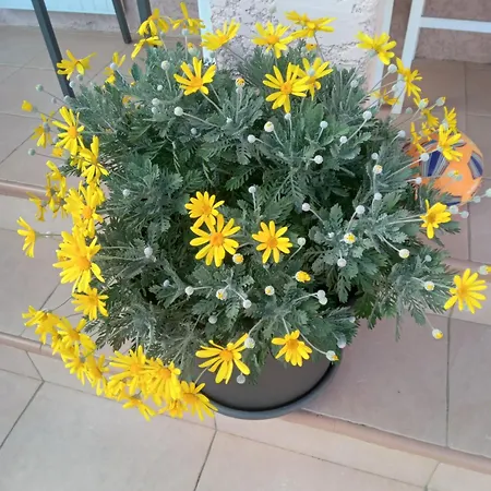 L’echappée Belle Appartamento