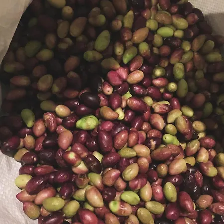 L'echappee Belle Saint-Jean-de-Fos