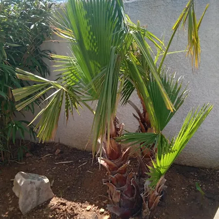 L'echappee Belle Saint-Jean-de-Fos