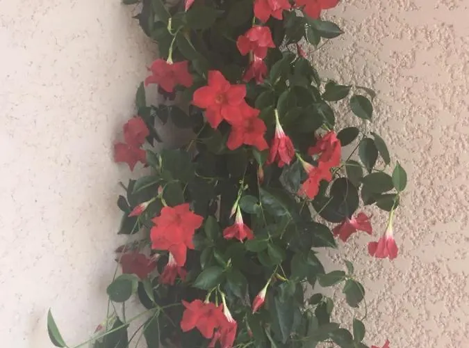 Appartement L’echappée Belle Saint-Jean-de-Fos