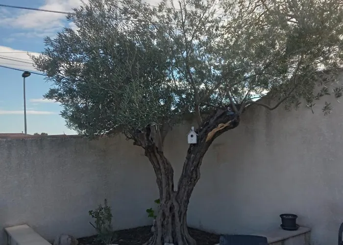 Appartement L’echappée Belle