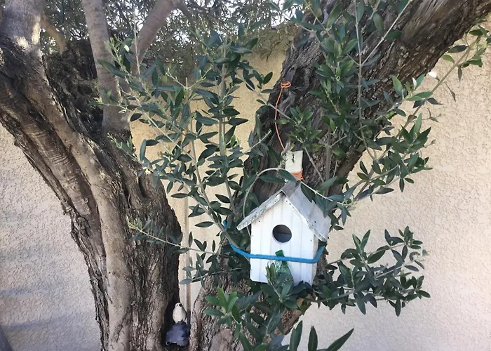 Appartement L’echappée Belle